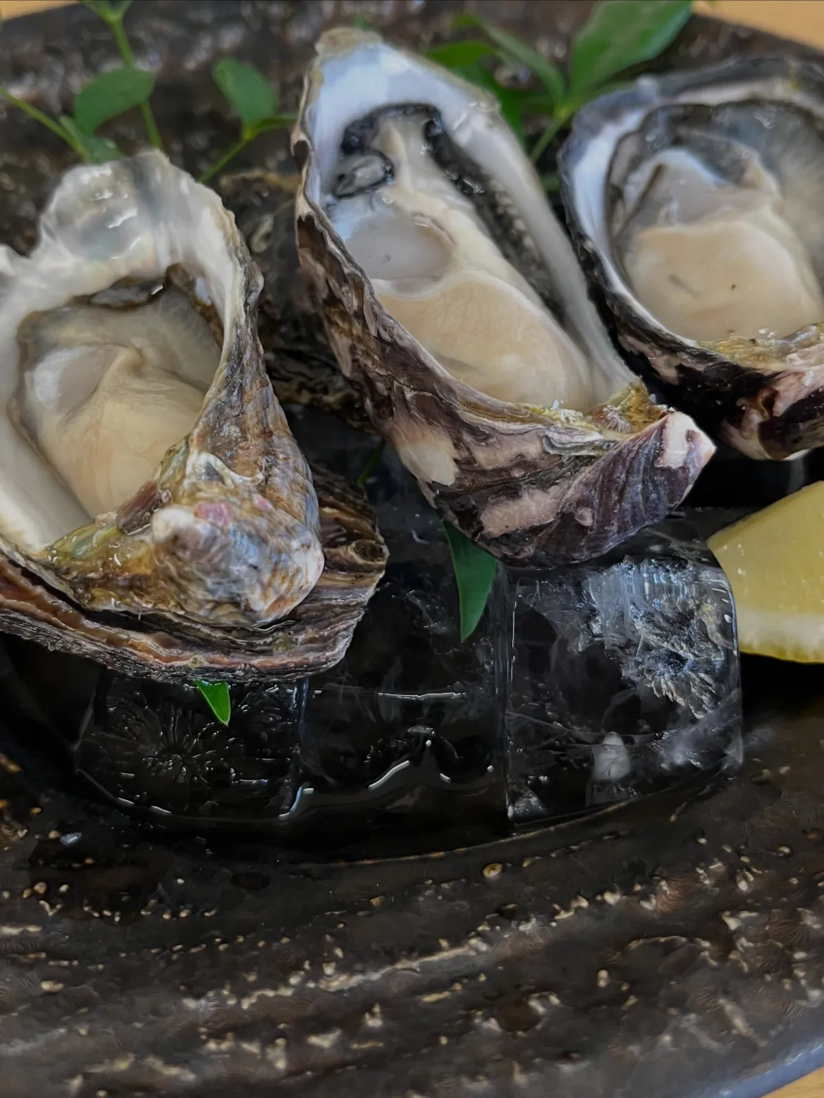 鮮度にこだわった 海の恵み。
